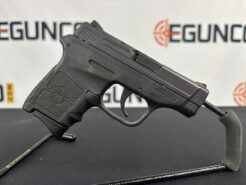 SMITH & WESSON BODYGUARD 380 BG380 6RD