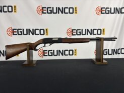 WINCHESTER MODEL 250 LEVER ACTION .22LR 16RD