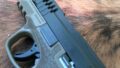 Savage Stance close-up