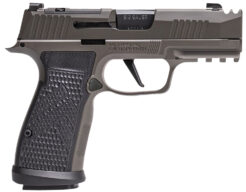 Sig 365AXGCA9LEGION P365 Axg Leg 3.1 17R Gry Semi-Auto Pistol | 9mm | 3.1in