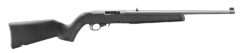 Ruger 10/22 Semi-Auto Rifle | .22 LR | 18.5in