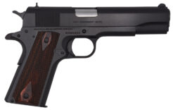 Colt Mfg 1911 Government Semi-Auto Pistol | .45 ACP | 5in