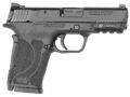 Smith & Wesson M&P9 SHIELD EZ M2.0 Semi-Auto Pistol | 9mm | 3.67in