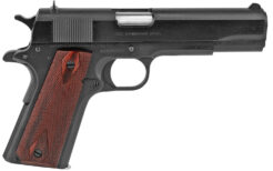 Colt Mfg 1911 Government Semi-Auto Pistol | 5in