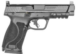 Smith & Wesson M&P M2.0 Semi-Auto Pistol | 10mm | 4.6in