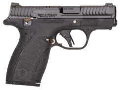 Smith & Wesson Bodyguard 2.0 Semi-Auto Pistol | .380 ACP | 2.75in