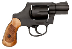 Armscor M206 Spurless Revolver Rental | .38 Special | 2in