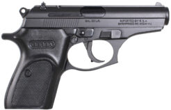 Bersa Thunder Pistol Rental | .22 LR | 3.5in