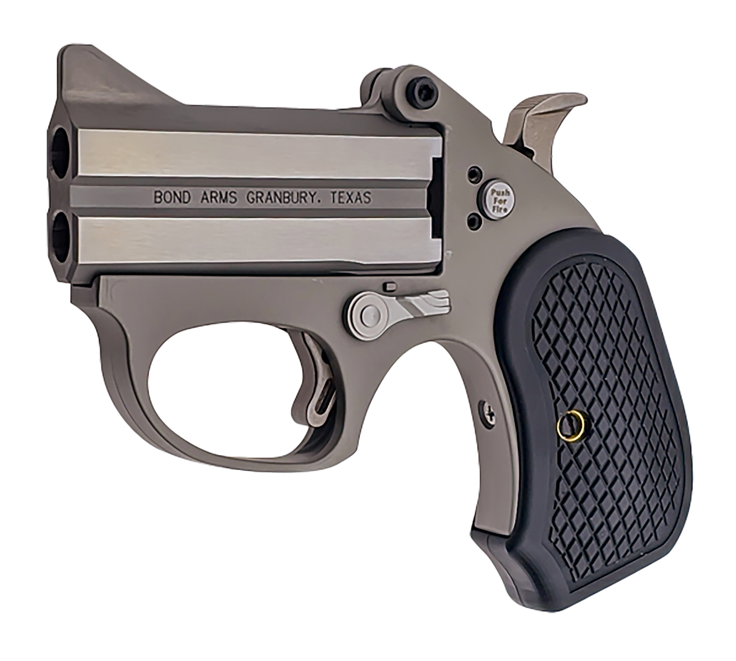 Bond Arms Honey B Pistol Rental | .22 Magnum | 3in