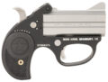 Bond Arms Stinger Pistol Rental | .22 LR | 3in