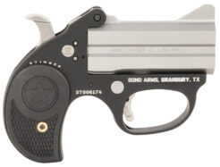 Bond Arms Stinger Pistol Rental | .22 LR | 3in