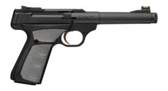 Browning Buck Mark Camper Pistol Rental | .22 LR | 5.9in