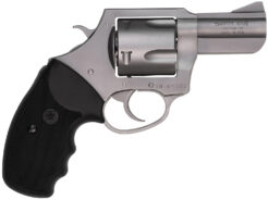Charter Arms Bulldog XL Revolver Rental | .45 Colt (LC) | 2.5in