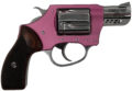 Charter Arms Coyote Revolver Rental | .380 ACP | 2in | 53805