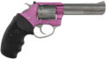 Charter Arms Pathfinder Lite Revolver Rental | .22 LR | 4.2in