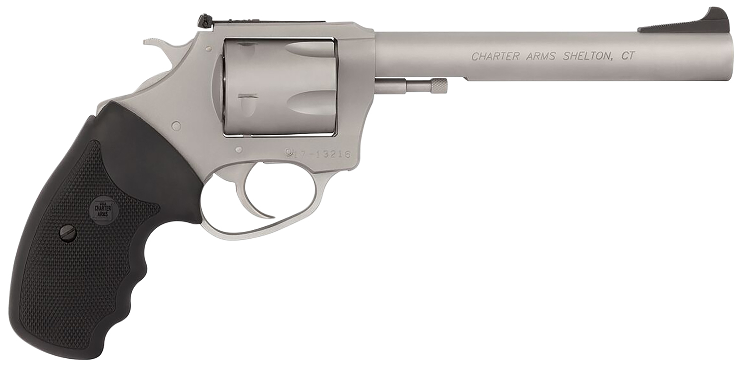 Charter Arms Pitbull Revolver Rental | 9mm | 6in