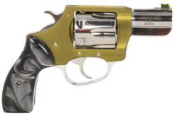 Charter Arms Undercover II Revolver Rental | .38 Special | 2.2in