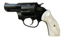 Charter Arms Undercover Lite Revolver Rental | .38 Special | 2in | 13822
