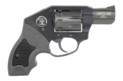 Charter Arms Walker Revolver Rental | .22 LR | 2in