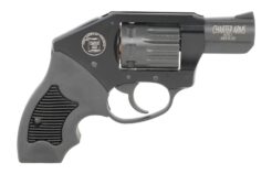Charter Arms Walker Revolver Rental | .22 Magnum | 2in