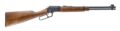 Chiappa Firearms LA322 Standard Takedown Lever-Action Rifle Rental | .22 LR | 18.5in