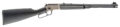 Chiappa Firearms LA332 Kodiak Cub Takedown Lever-Action Rifle Rental | .22 LR | 18.5in