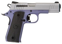 Citadel M1911 Baby Pistol Rental | .380 ACP | 3.75in
