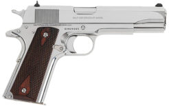Colt Mfg 1911 Government Pistol Rental | .45 ACP | 5in | Stainless