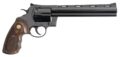 Colt Mfg Anaconda Revolver Rental | .44 Magnum | 8in