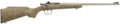 Crickett Gen 2 Bolt-Action Rifle Rental | .22 LR | 16.13in | KSA2443