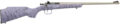 Crickett Gen 2 Bolt-Action Rifle Rental | .22 LR | 16.13in | KSA2445