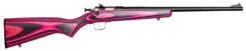 Crickett Youth Laminate Bolt-Action Rifle Rental | .22 LR | 16.12in | Stainless