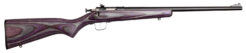 Crickett Youth Laminate Bolt-Action Rifle Rental | .22 LR | 16.12in | KSA2227