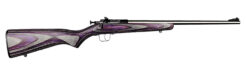 Crickett Youth Laminate Bolt-Action Rifle Rental | .22 LR | 16.12in | KSA2228