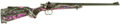 Crickett Youth Synthetic Bolt-Action Rifle Rental | .22 LR | 16.12in