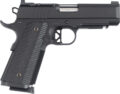 Dan Wesson TCP Pistol Rental | .45 ACP | 4in