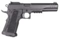EAA Witness2311 Pistol Rental | 10mm Auto | 6in