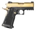 EAA Witness2311 Spoiled Brat Pistol Rental | 9mm | 3.4in