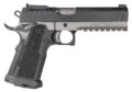 EAA Witness2311 Steel Frame w/Beavertail & Picatinny Rail Pistol Rental | 9mm | 5in