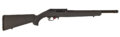 Franklin Armory F22 Semi-Auto Rifle Rental | .22 LR | 16in