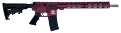 Great Lakes GL15 Semi-Auto Rifle Rental | .223 Wylde | 16in | GL15223SSCHY