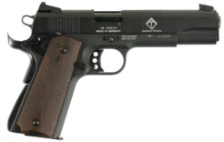 GSG German Sports 1911 1911 Pistol Rental | .22 LR | 5in
