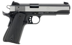 GSG German Sports 1911 22 LR Pistol Rental | .22 LR | 5in