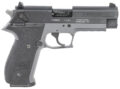 GSG German Sports FireFly Pistol Rental | .22 LR | 4in | Smoke