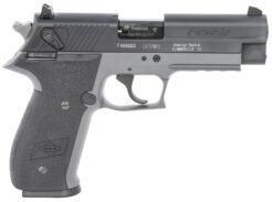 GSG German Sports FireFly Pistol Rental | .22 LR | 4in | Smoke