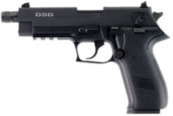 GSG German Sports FireFly Pistol Rental | .22 LR | 4.9in