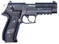 GSG German Sports FireFly Non-Threaded Pistol Rental | .22 LR | 4in