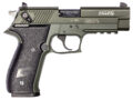 GSG German Sports FireFly Non-Threaded Pistol Rental | .22 LR | 4in | Green