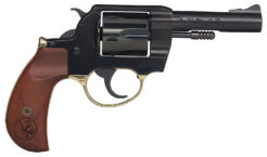 Henry Repeating Arms Big Boy Revolver Rental | .38 Special | 4in