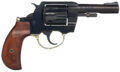 Henry Repeating Arms Golden Boy Revolver Rental | .22 LR | 4in